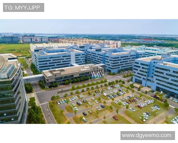 武汉篮球队的崛起与发展探讨：意识形态对球队表现的影响分析